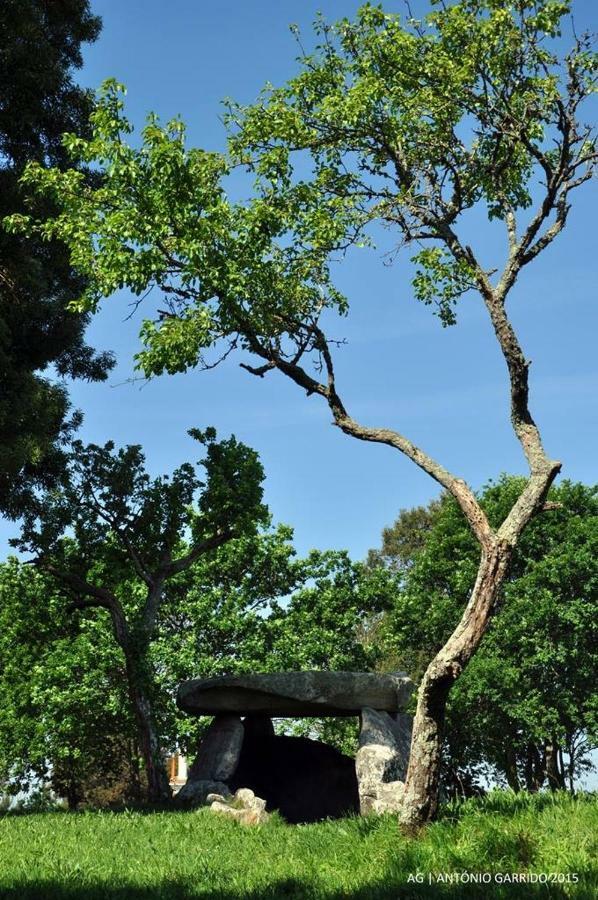 Angelas - Casa Da Eira Vila Praia de Ancora Ngoại thất bức ảnh